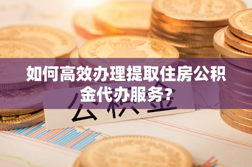 那玛夏如何高效办理提取住房公积金代办服务？