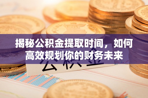 那玛夏揭秘公积金提取时间，如何高效规划你的财务未来