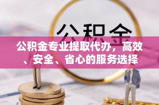 那玛夏公积金专业提取代办，高效、安全、省心的服务选择