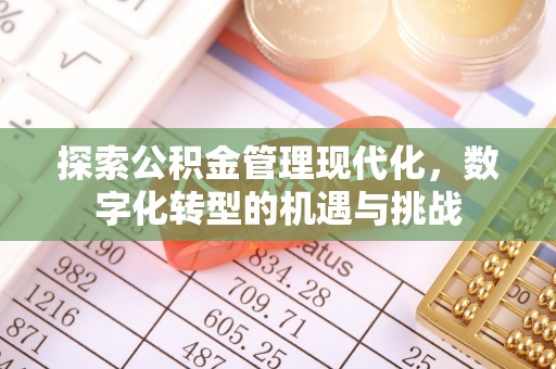 那玛夏探索公积金管理现代化，数字化转型的机遇与挑战