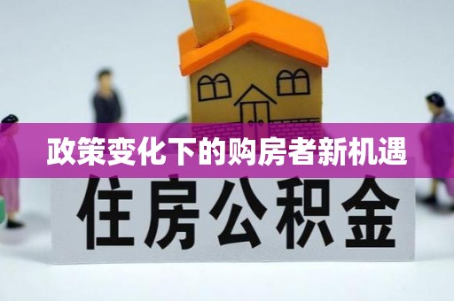 那玛夏政策变化下的购房者新机遇