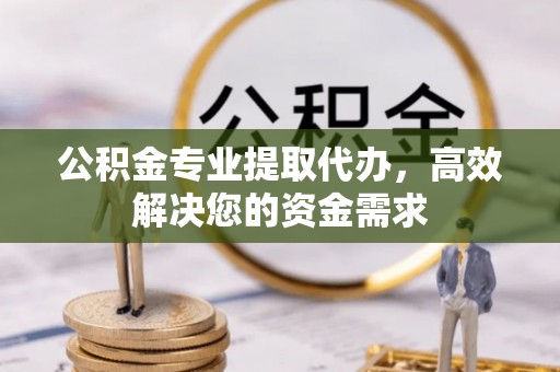 那玛夏公积金专业提取代办，高效解决您的资金需求