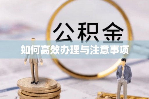 那玛夏如何高效办理与注意事项