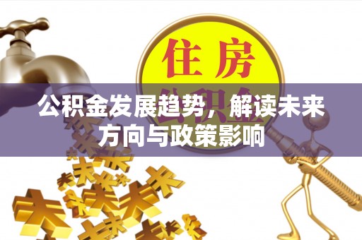 那玛夏公积金发展趋势，解读未来方向与政策影响