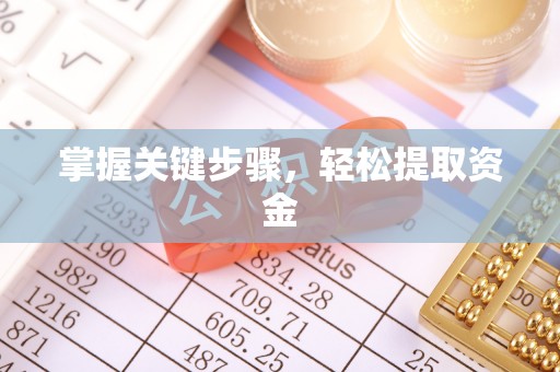那玛夏掌握关键步骤，轻松提取资金