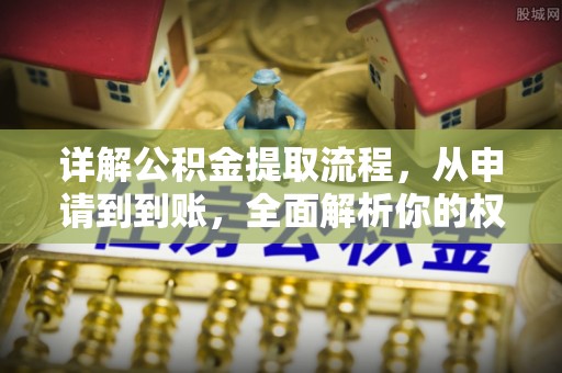 那玛夏详解公积金提取流程，从申请到到账，全面解析你的权益与操作步骤