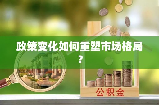 那玛夏政策变化如何重塑市场格局？