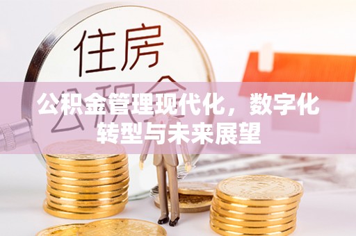 那玛夏公积金管理现代化，数字化转型与未来展望