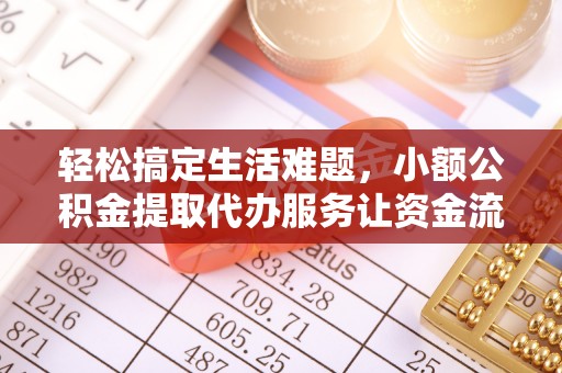 那玛夏轻松搞定生活难题，小额公积金提取代办服务让资金流转更便捷