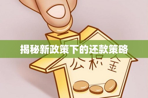 那玛夏揭秘新政策下的还款策略