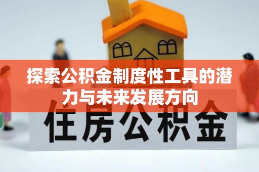 那玛夏探索公积金制度性工具的潜力与未来发展方向