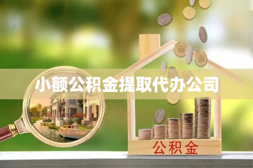 那玛夏小额公积金提取代办公司