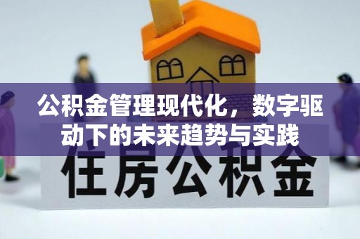 那玛夏公积金管理现代化，数字驱动下的未来趋势与实践