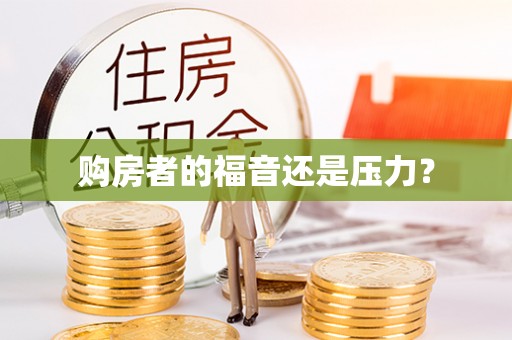那玛夏购房者的福音还是压力？