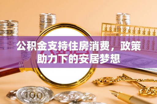 那玛夏公积金支持住房消费，政策助力下的安居梦想
