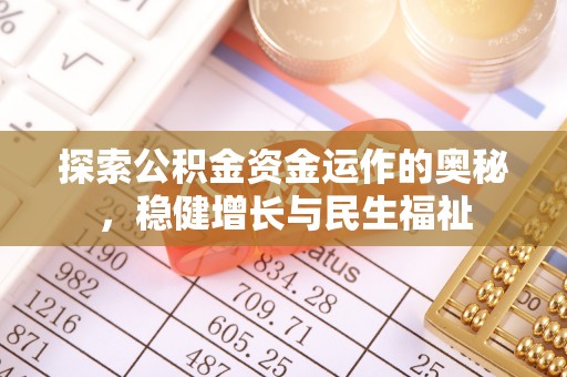 那玛夏探索公积金资金运作的奥秘，稳健增长与民生福祉