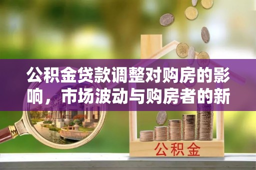 那玛夏公积金贷款调整对购房的影响，市场波动与购房者的新选择