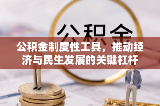 那玛夏公积金制度性工具，推动经济与民生发展的关键杠杆
