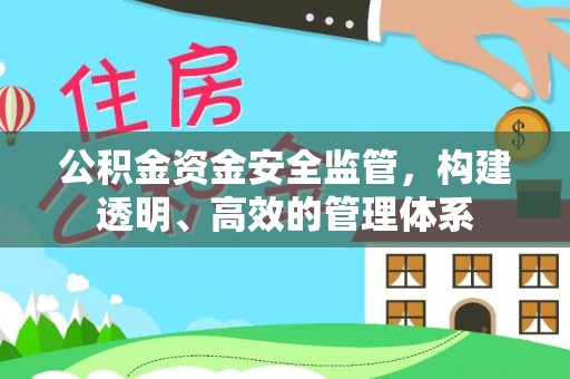 那玛夏公积金资金安全监管，构建透明、高效的管理体系