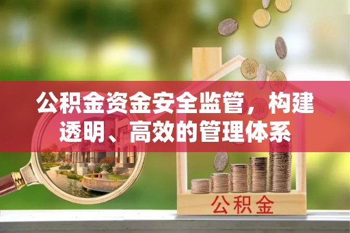 那玛夏公积金资金安全监管，构建透明、高效的管理体系