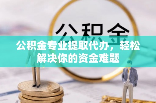 那玛夏公积金专业提取代办，轻松解决你的资金难题
