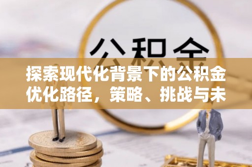那玛夏探索现代化背景下的公积金优化路径，策略、挑战与未来展望