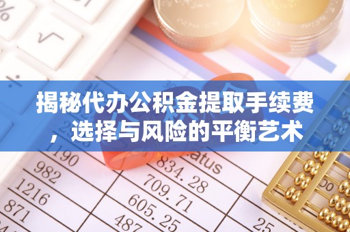 那玛夏揭秘代办公积金提取手续费，选择与风险的平衡艺术