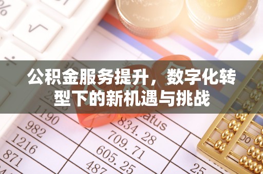 那玛夏公积金服务提升，数字化转型下的新机遇与挑战