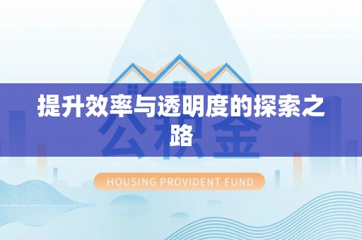 那玛夏提升效率与透明度的探索之路