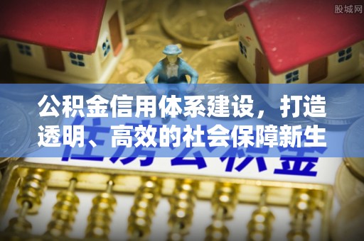 那玛夏公积金信用体系建设，打造透明、高效的社会保障新生态