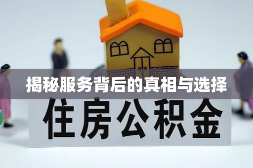 那玛夏揭秘服务背后的真相与选择