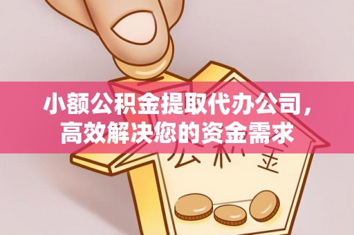 那玛夏小额公积金提取代办公司，高效解决您的资金需求
