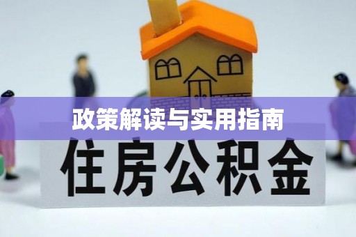 那玛夏政策解读与实用指南