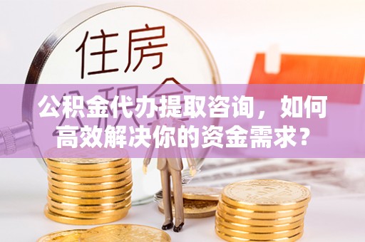 那玛夏公积金代办提取咨询，如何高效解决你的资金需求？