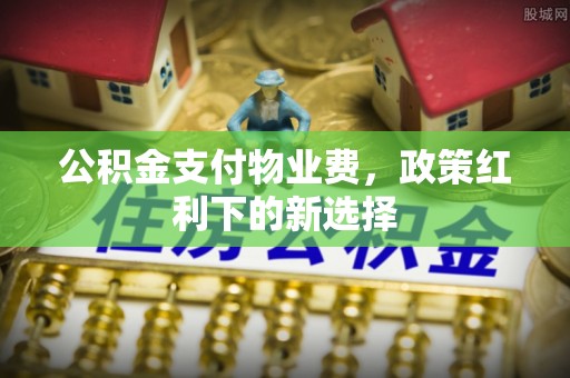 那玛夏公积金支付物业费，政策红利下的新选择