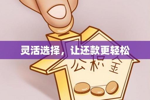 那玛夏灵活选择，让还款更轻松