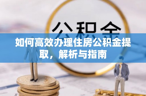那玛夏如何高效办理住房公积金提取，解析与指南