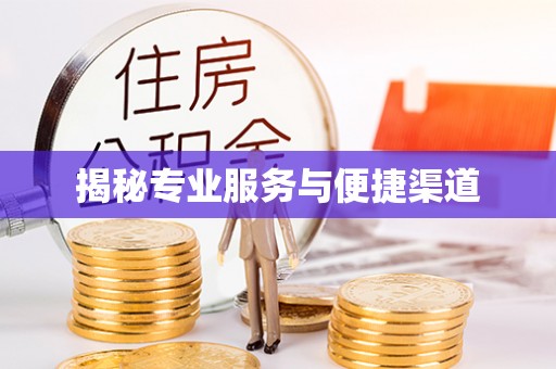 那玛夏揭秘专业服务与便捷渠道