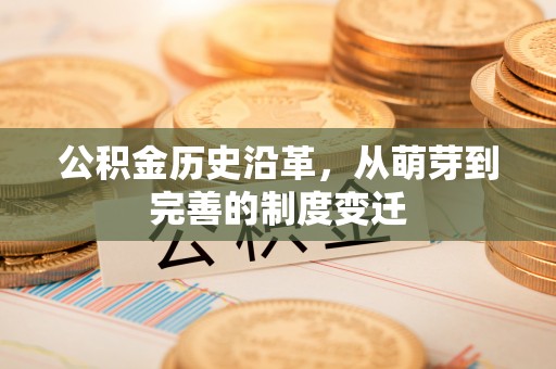 那玛夏公积金历史沿革，从萌芽到完善的制度变迁