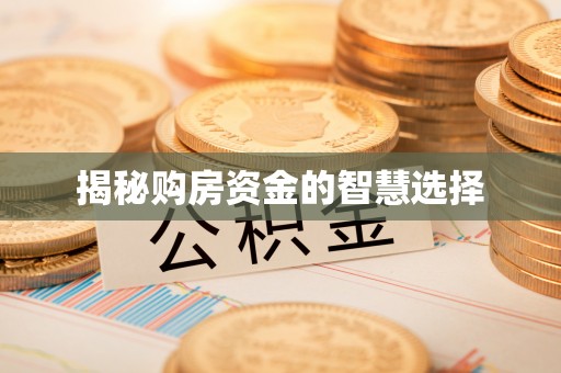那玛夏揭秘购房资金的智慧选择