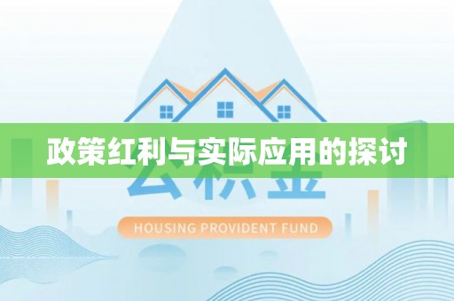 那玛夏政策红利与实际应用的探讨