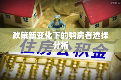 那玛夏政策新变化下的购房者选择分析