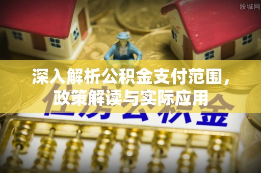 那玛夏深入解析公积金支付范围，政策解读与实际应用