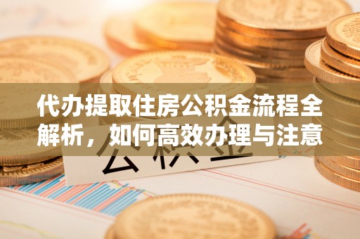 那玛夏代办提取住房公积金流程全解析，如何高效办理与注意事项