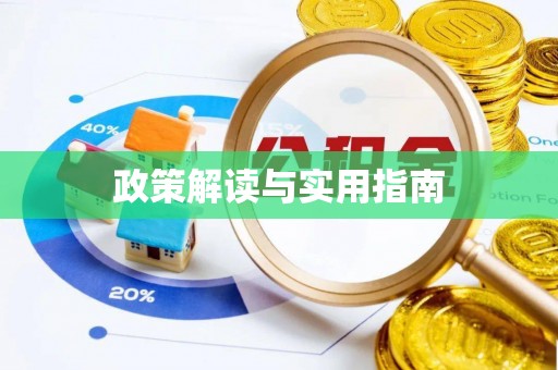 那玛夏政策解读与实用指南