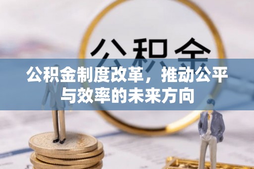 那玛夏公积金制度改革，推动公平与效率的未来方向