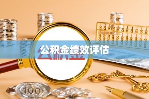 那玛夏公积金绩效评估