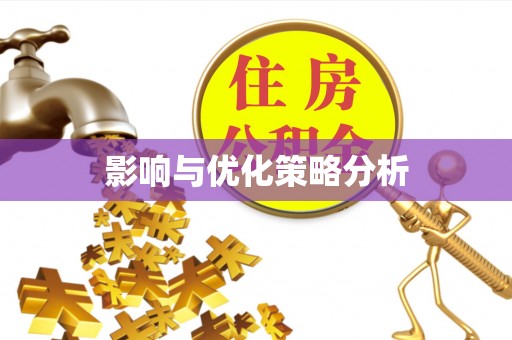 那玛夏影响与优化策略分析