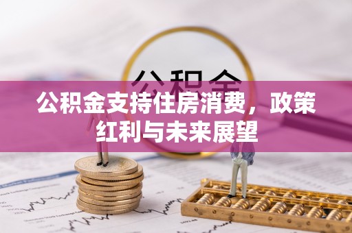 那玛夏公积金支持住房消费，政策红利与未来展望