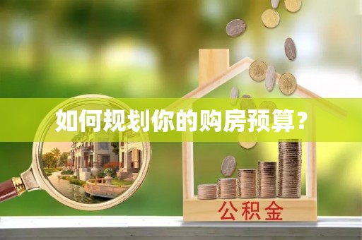 那玛夏如何规划你的购房预算？